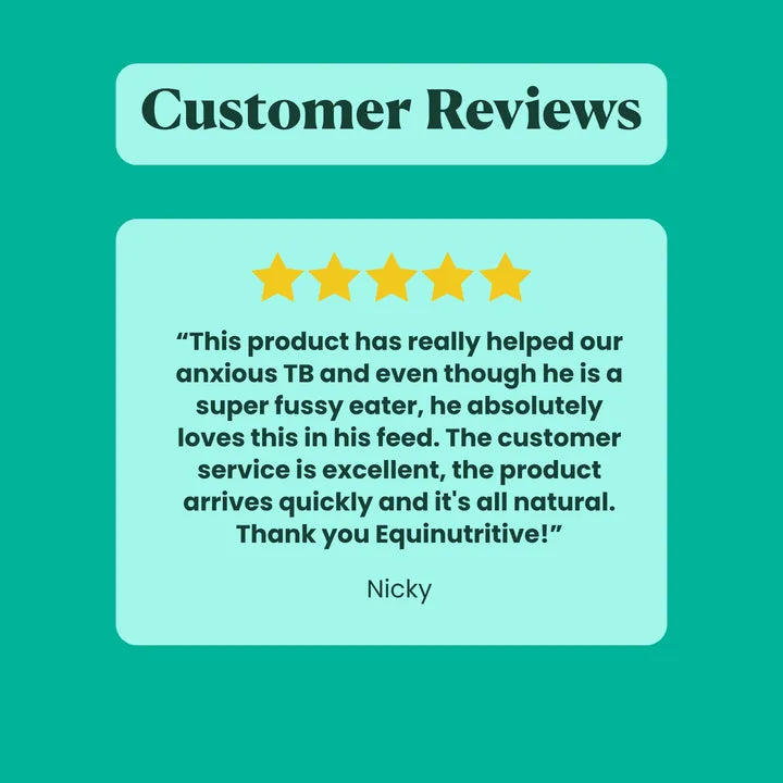 No More Nerves customer review