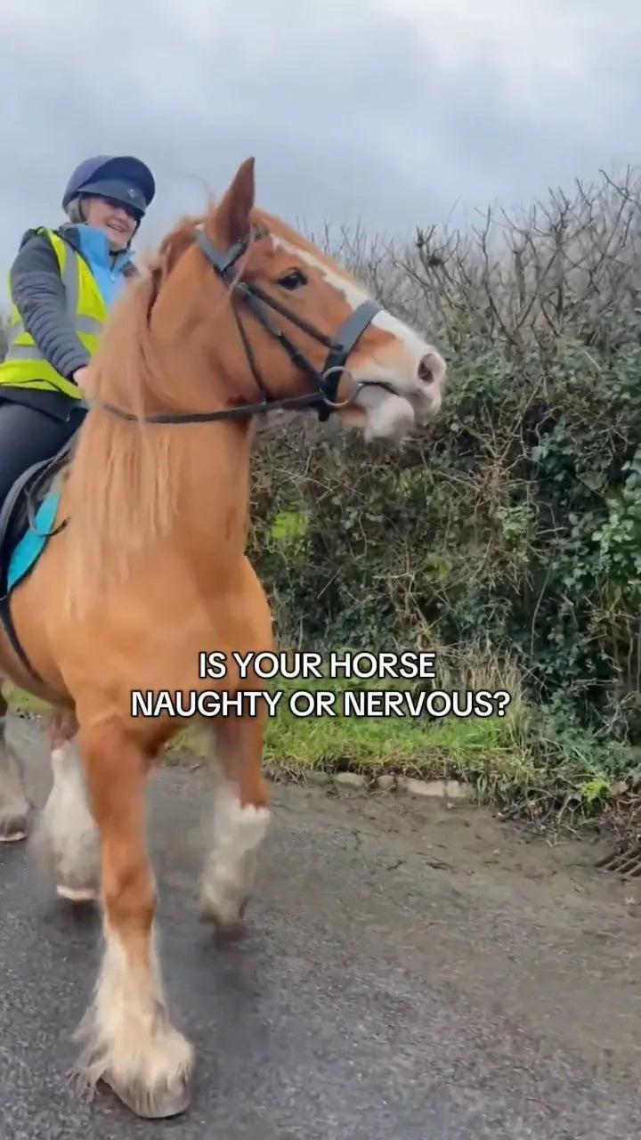 Customer video: is your horse naughty or nervous?