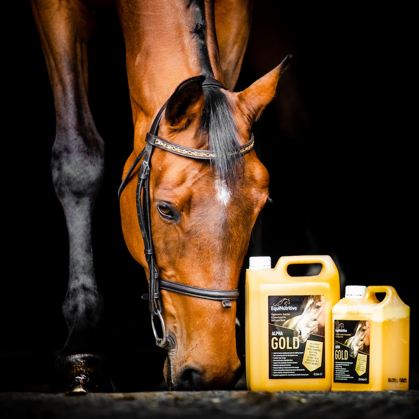 Alpha Gold - 100% Natural Joint Supplement for Horses