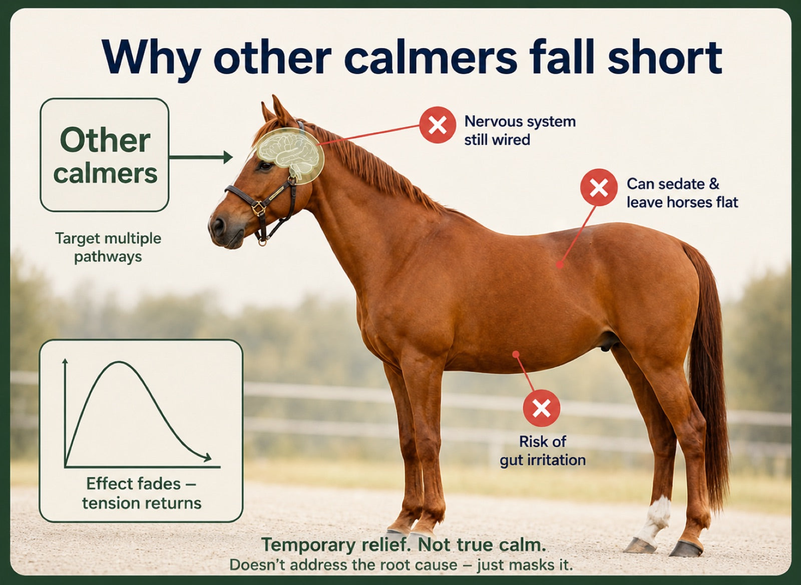 Why other calmers fall short: they target multiple pathways yet leave the nervous system still wired, can sedate and leave horses flat, risk gut irritation, and the effect fades so tension returns - temporary relief, not true calm